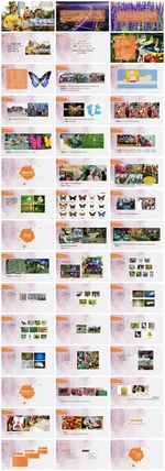 大型花鸟展活动方案