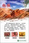张掖特色文化展板