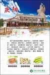 庆阳特色文化展板