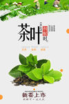 茶叶