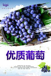 葡萄