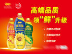 阳光葵花籽油 物料