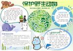 爱护动物小报