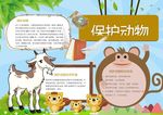 爱护动物小报