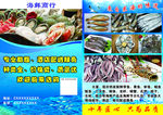 海鲜   水产品   鱼类