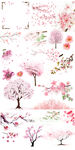 樱花桃花图片