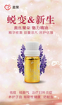 化妆品海报