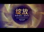 绽放