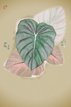 北欧枫叶装饰画