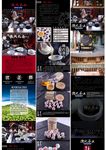 茶业 茶文化 茶画册 茶叶文化