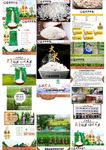 遮放贡米 大米 淘宝 详情图