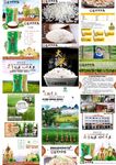 遮放贡米 大米 淘宝 详情图