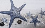 简约浮雕海边沙滩贝壳背景墙