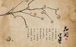 现代风藤球枝干背景墙