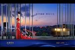 地产 广告 豪宅