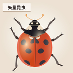 矢量昆虫