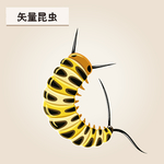 矢量 毛毛虫
