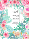 花卉