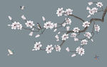 玉兰花