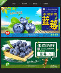蓝莓