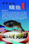 美食海报