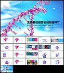 生物基因细胞化学医疗医学DNA