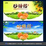 砂糖桔