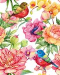 手绘水彩花卉花鸟服装印花图案