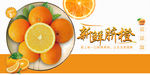 新鲜脐橙