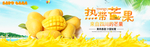 芒果热带水果宣传栏海报展板