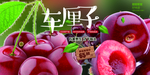 车厘子海报