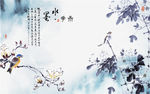 兰香菊雅