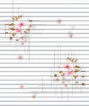 花纹