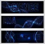 DNA细胞分子结构矢量素材