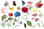 请柬贺卡碎花艺花草网红墙纸插图