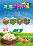 五谷土鸡蛋