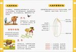 儿童 卡通 宣传册 可爱 手册