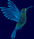 花鸟