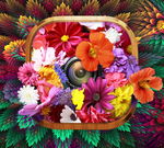 花团锦簇