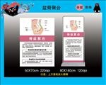 骨盆聚合 普精 分层
