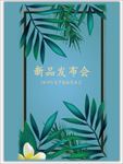 热带雨林背景图