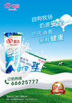 苏州双喜牛奶海报