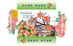 丰藤水蜜桃箱子