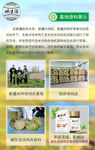 恰玛古  食疗产品 养生图片