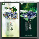 蓝莓