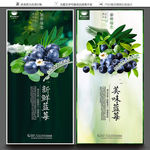蓝莓海报