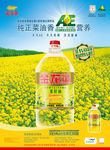 维生素A营养强化菜籽油-海报