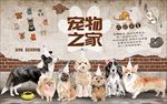 手绘宠物壁纸壁画背景墙