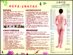 生物电疗