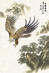 大展宏图